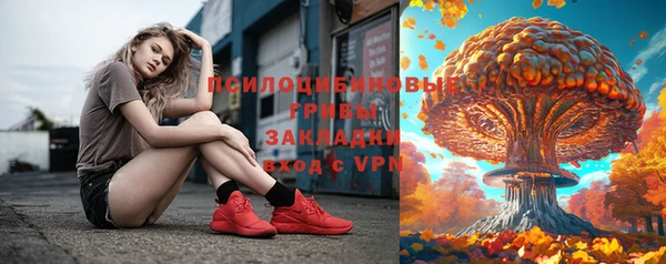 гидра Алексин