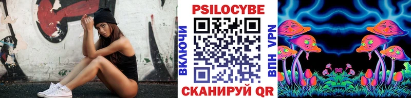 Галлюциногенные грибы Psilocybe  продажа наркотиков  Николаевск 