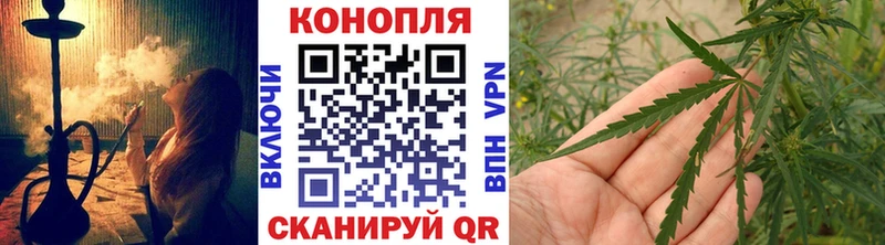 Бошки Шишки сатива  дарнет шоп  Николаевск 